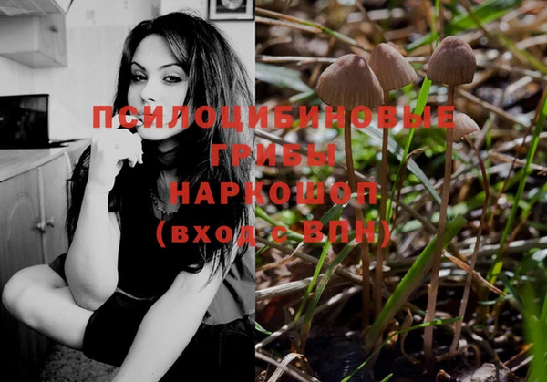 марихуана Абаза