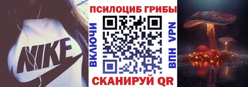 Псилоцибиновые грибы Psilocybe Десногорск